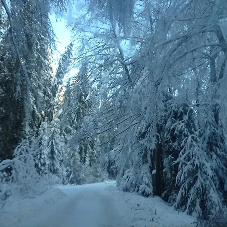 Jaktstuga U Gregora V Slovenskom Raji *