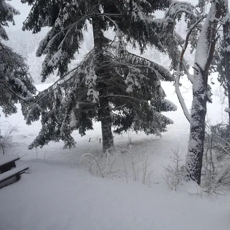 U Gregora V Slovenskom Raji