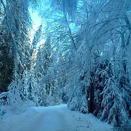 Orman Evi U Gregora V Slovenskom Raji